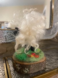 Image 3 of Curly Sheep