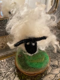 Image 4 of Curly Sheep
