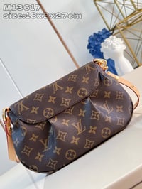 Image 8 of LV Sunset Bag