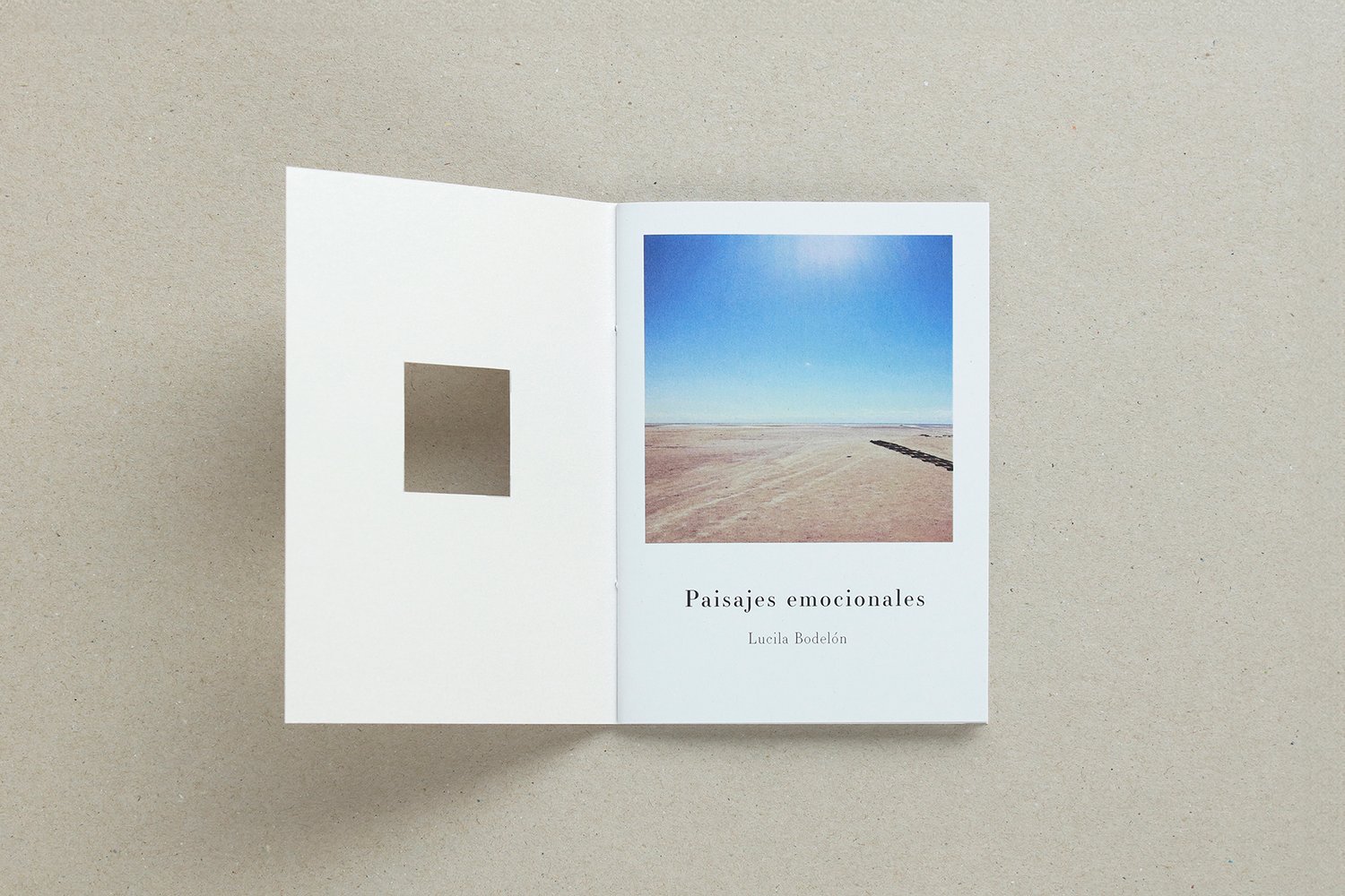 Image of Paisajes emocionales