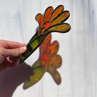 Image 8 of Desert Blooms 