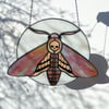 Stained Glass Death Head Hawk Moth