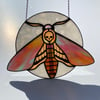 Stained Glass Death Head Hawk Moth