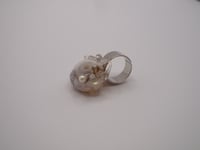 Image 2 of Snail Ring 