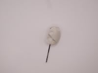 Image 11 of Pebble after Rain