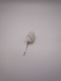 Image 5 of Pebble after Rain