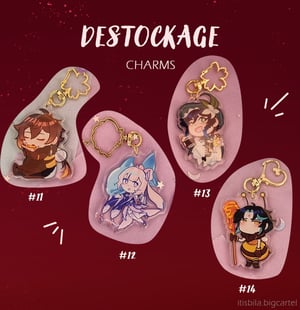 Image of 🎉 DESTOCKING 🎉