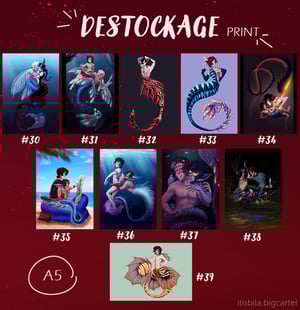 Image of 🎉 DESTOCKING 🎉