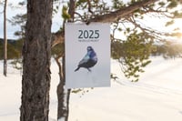 Image 1 of THE RED LIST PROJECT 2025 CALENDAR