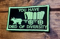 Image 3 of "Died of Diversity" patch
