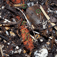 Image 3 of Soilmates - 12oz. Soil Starter 