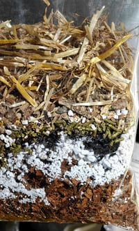 Image 2 of Compost Kit - 3.5 Gallon Bucket