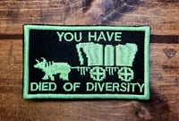 Image 1 of "Died of Diversity" patch