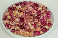 Image 1 of 35 Strawflower Heads - SMALL Pink