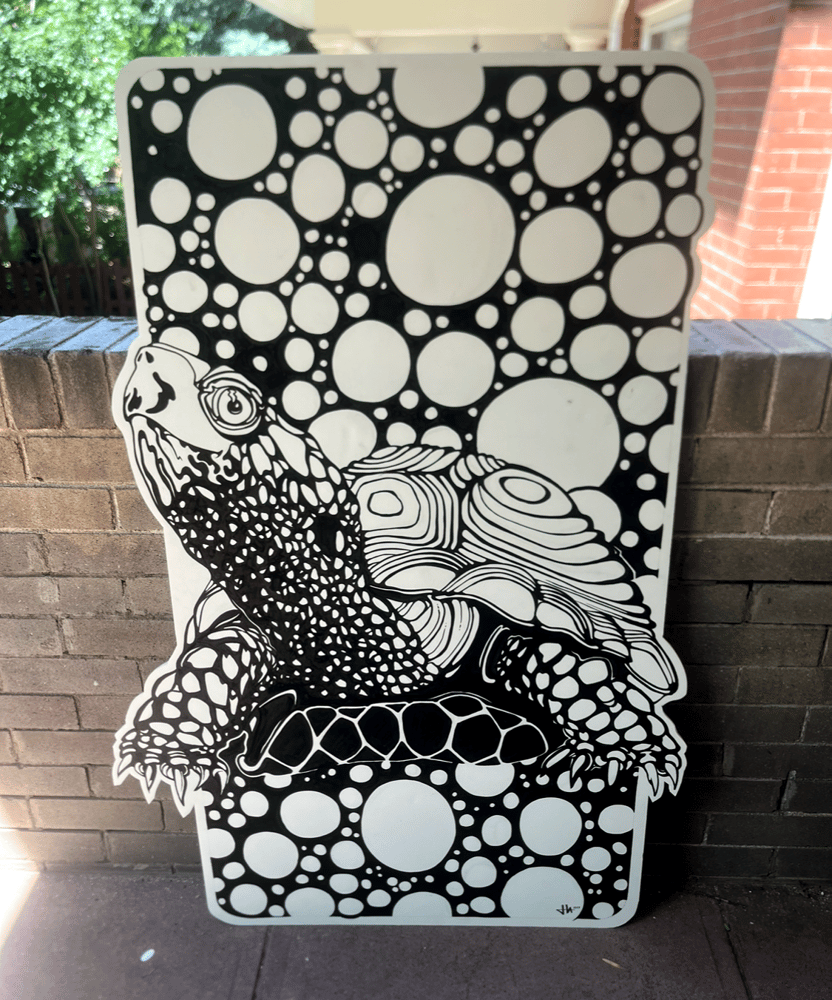 Image of 40x60" Turtle