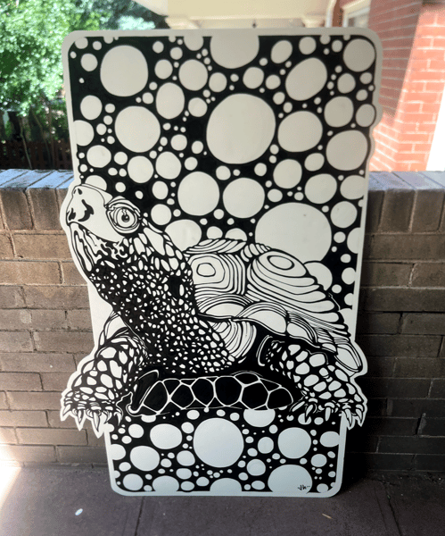 Image of 40x60" Turtle