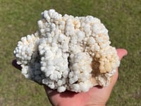 Image 4 of Calcite Crystal Cluster Reef Formation #994