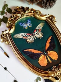 Image 2 of Three Butterflies Medium Vintage Frame