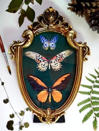 Image 1 of Three Butterflies Medium Vintage Frame