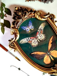 Image 5 of Three Butterflies Medium Vintage Frame