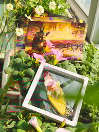 Image 1 of [brooch]Living Gelato - Embroidery brooch with 4 mini prints set
