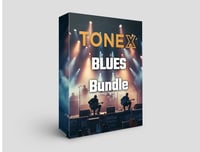 ToneX Blues Bundle (10 Packs)