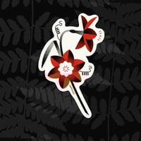 Image 1 of Florecita 