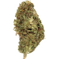Volex Strain - Seed