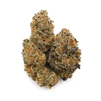 Black Frost Strain - Seed