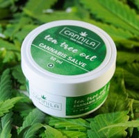 Cannila TEA TREE