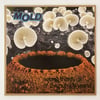 Mold "Secret Things Of The Outside World" Vinyl LP (Satatuhatta)