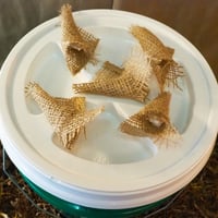 Image 2 of Bee Hydration Station - Supporting Bees, Butterflies, and Other Pollinators
