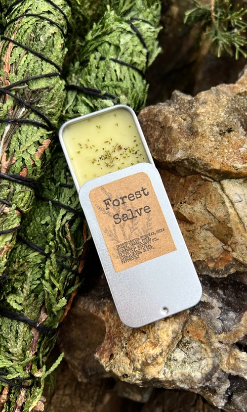 Image of FOREST SALVE
