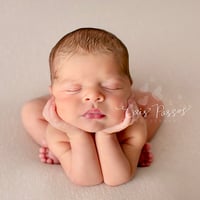 Image 2 of Fay Beanbag Backdrop