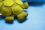 Image of Plush Baby Turtle / Jewels