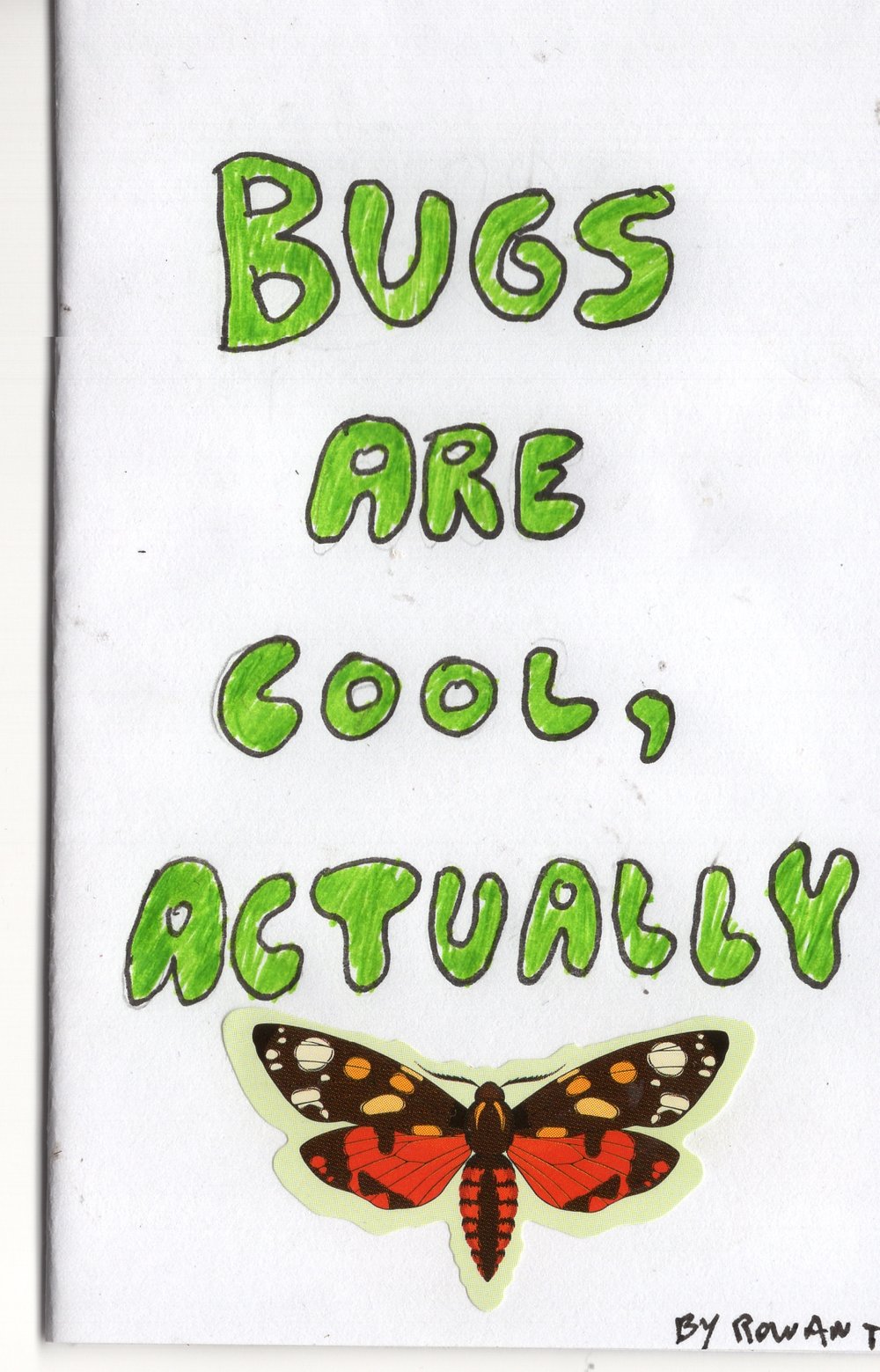 Image of Bugs Are Cool, Actually