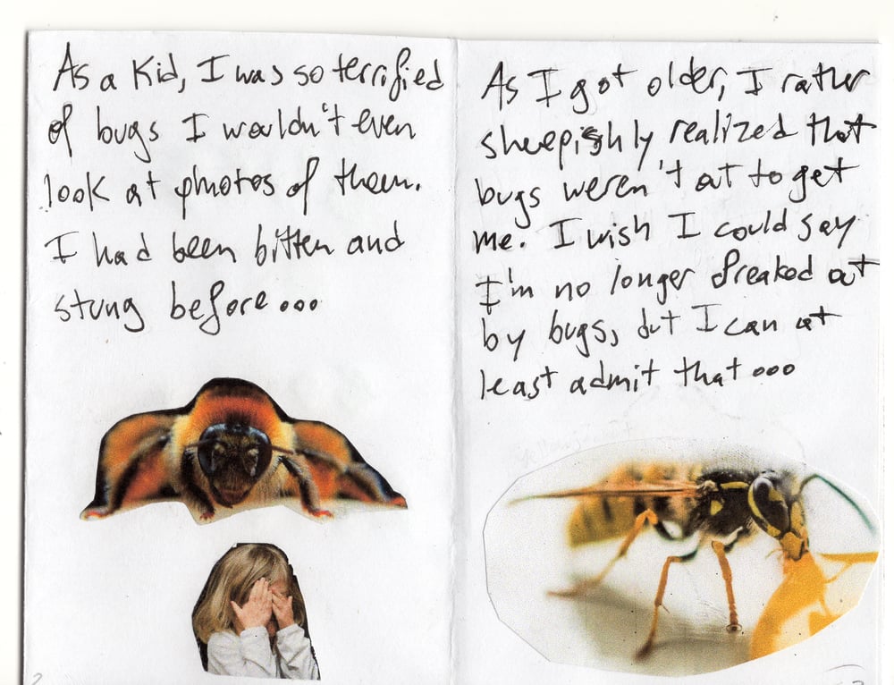 Image of Bugs Are Cool, Actually