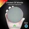 Chicken Of The Woods (Laetiporus Sulphureus) Live Mycelium Mushroom Culture Spawn Seed