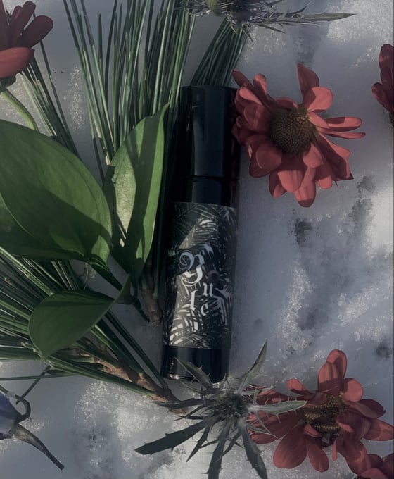 Image of Yule Perfume Oil (Fir absolute, Scotch pine, Spice, Balsam of Peru)