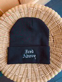 Iced Above Beanie
