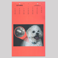 Image 4 of Calendario PBM 2025