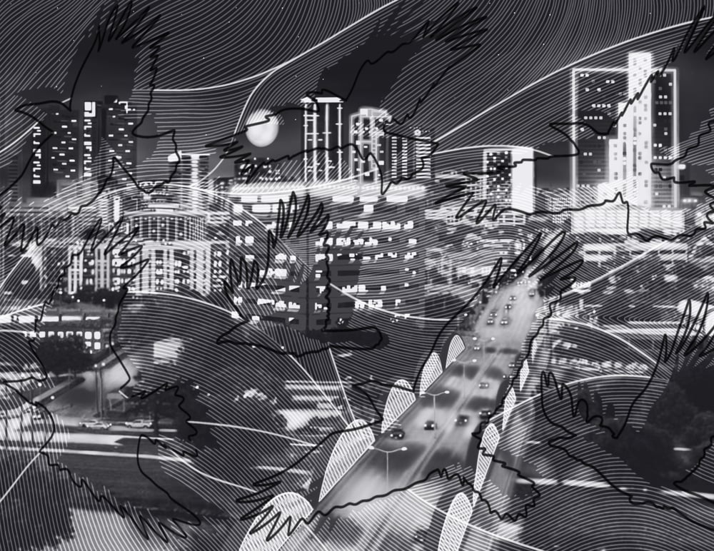 Image of Night Birds