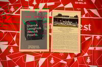Tolka Park 2024 Centenary Match Programme 