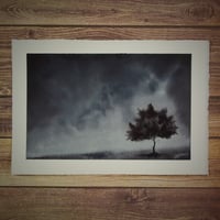 To A Looming End