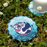 Suspicious cow - coasters