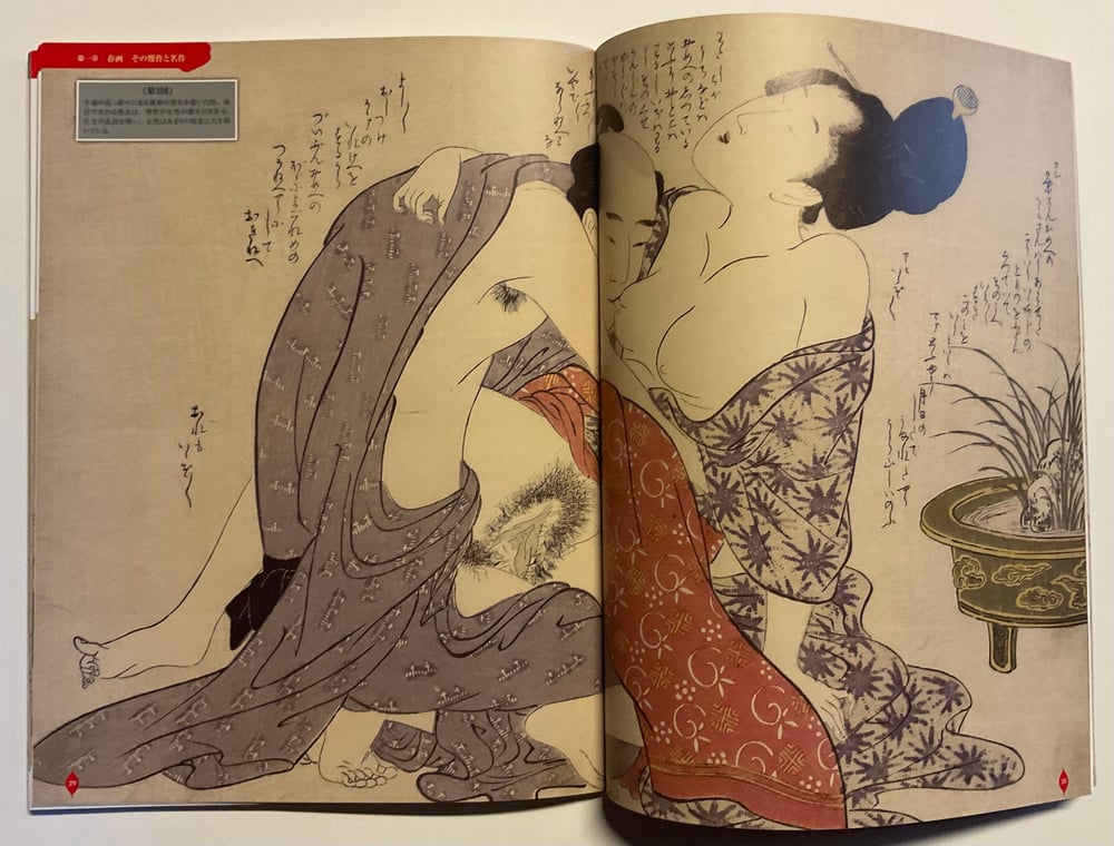 Book Shunga Japan 112 Pages 