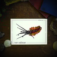 Image 2 of VER-CALMAR