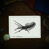 Image 1 of VER-CALMAR