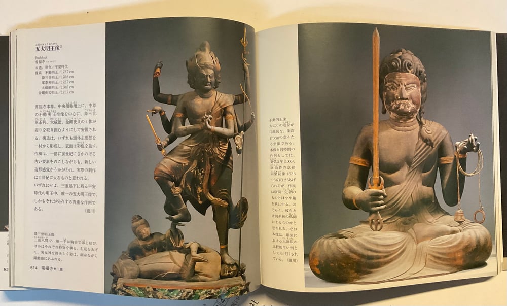 770 Sheets Buddhist Images Amazing Book 