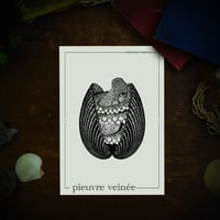 Image 1 of PIEUVRE VEINÉE